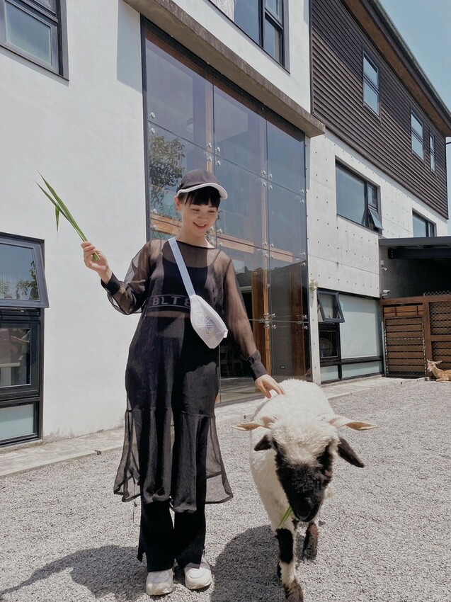 張美阿嬤農場: 近距離接觸笑笑黑面羊、水豚君、羊駝、白袋鼠還有好吃的冰淇淋車輪餅