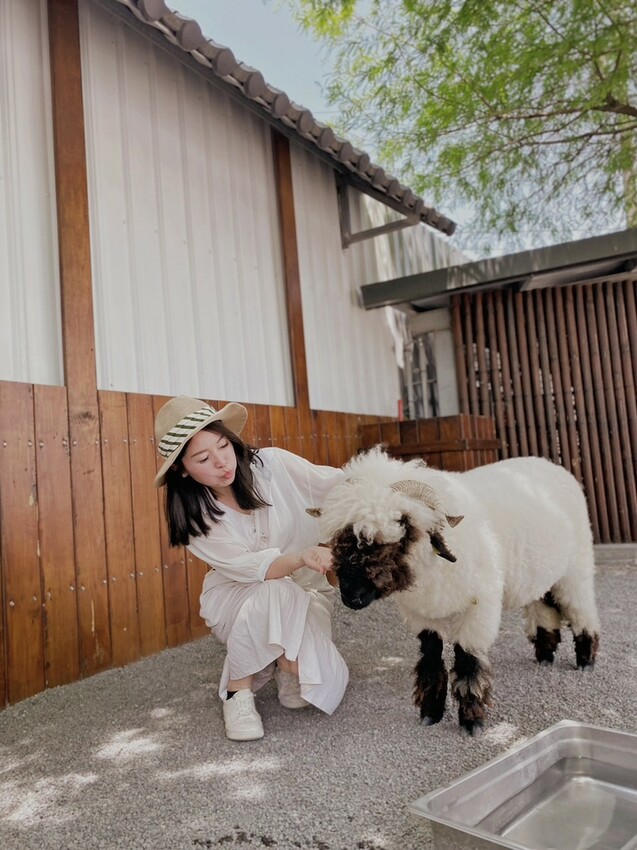 張美阿嬤農場: 近距離接觸笑笑黑面羊、水豚君、羊駝、白袋鼠還有好吃的冰淇淋車輪餅