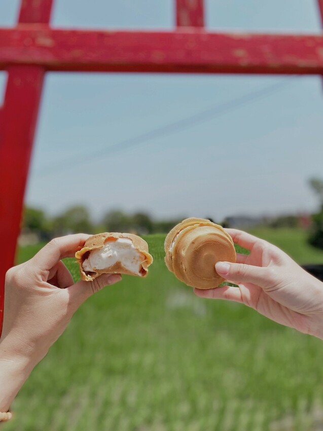 張美阿嬤農場: 近距離接觸笑笑黑面羊、水豚君、羊駝、白袋鼠還有好吃的冰淇淋車輪餅