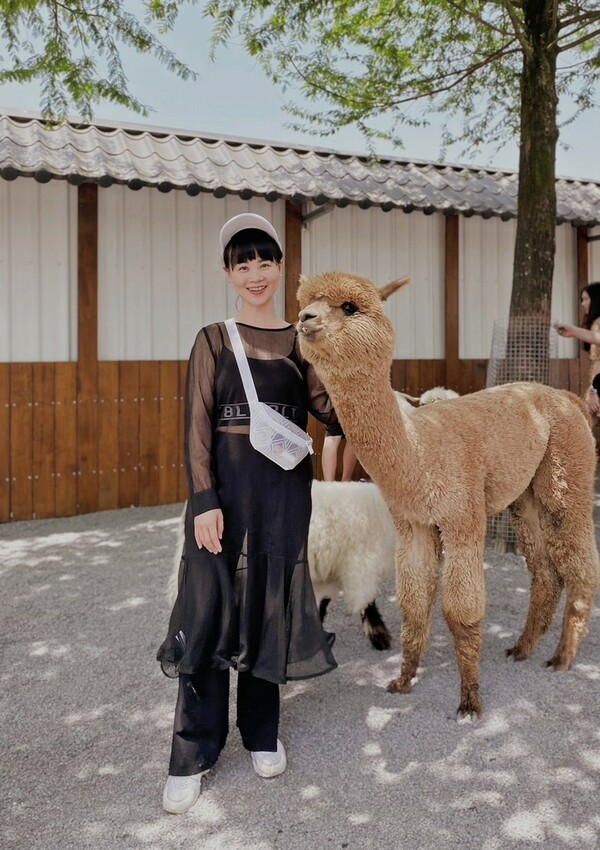 張美阿嬤農場: 近距離接觸笑笑黑面羊、水豚君、羊駝、白袋鼠還有好吃的冰淇淋車輪餅