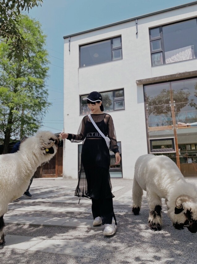 張美阿嬤農場: 近距離接觸笑笑黑面羊、水豚君、羊駝、白袋鼠還有好吃的冰淇淋車輪餅