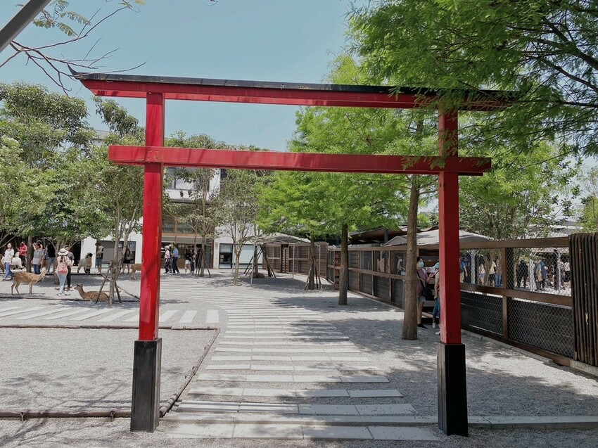 張美阿嬤農場: 近距離接觸笑笑黑面羊、水豚君、羊駝、白袋鼠還有好吃的冰淇淋車輪餅