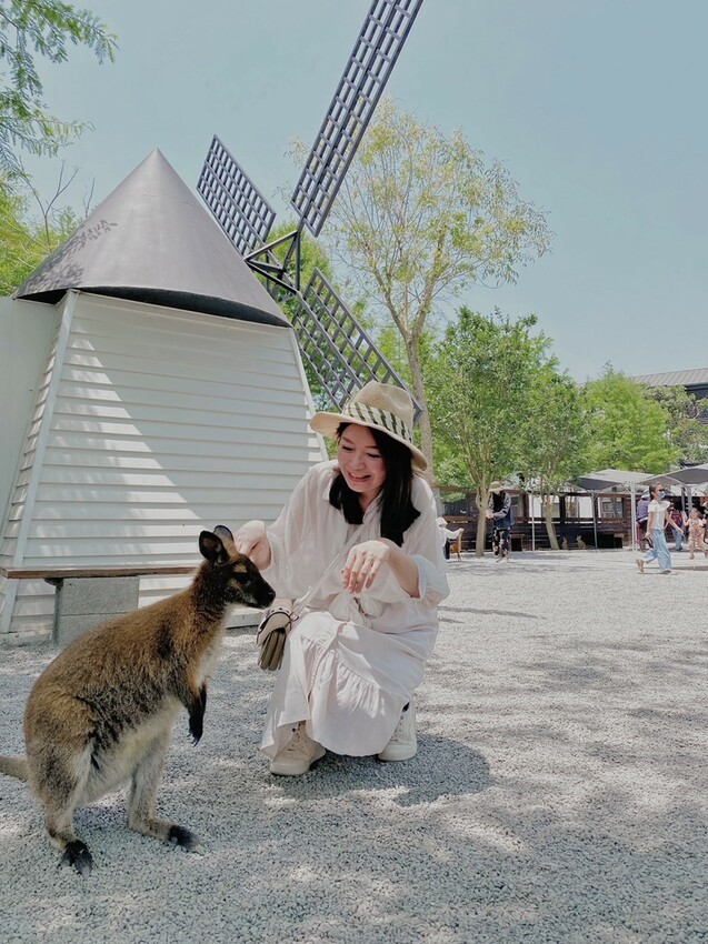 張美阿嬤農場: 近距離接觸笑笑黑面羊、水豚君、羊駝、白袋鼠還有好吃的冰淇淋車輪餅