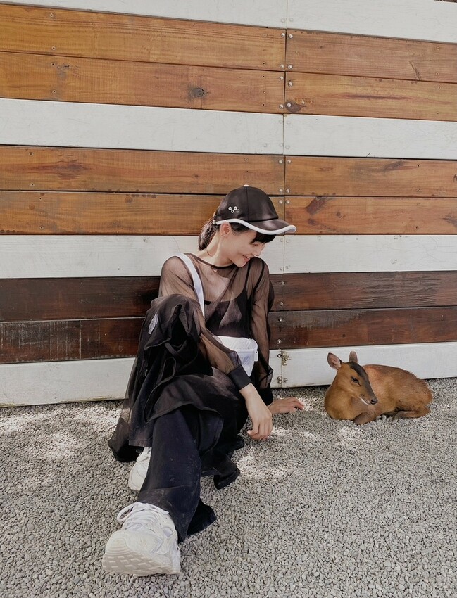 張美阿嬤農場: 近距離接觸笑笑黑面羊、水豚君、羊駝、白袋鼠還有好吃的冰淇淋車輪餅