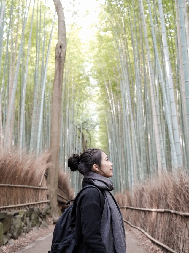 京都｜朝聖竹林之道一日遊！嵐山美食/景點/交通全紀錄
