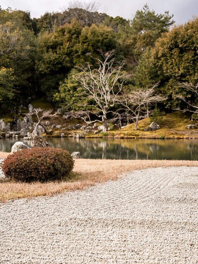 京都｜朝聖竹林之道一日遊！嵐山美食/景點/交通全紀錄