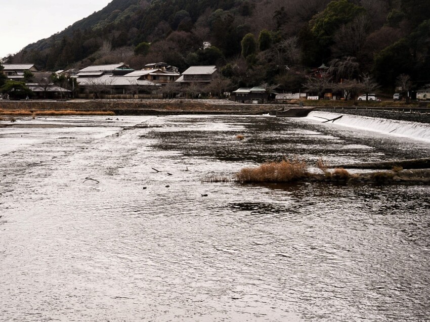 京都｜朝聖竹林之道一日遊！嵐山美食/景點/交通全紀錄