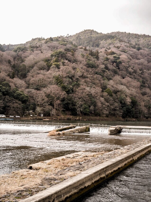 京都｜朝聖竹林之道一日遊！嵐山美食/景點/交通全紀錄
