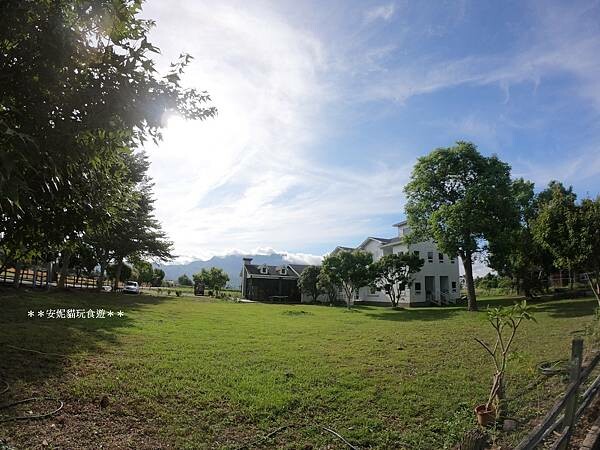 【2020花東周遊記。台東】鹿野龍田社區散策 & 台東2626市集