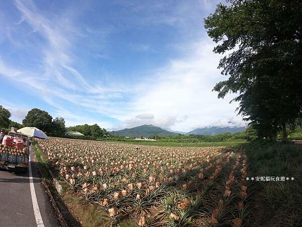 【2020花東周遊記。台東】鹿野龍田社區散策 & 台東2626市集