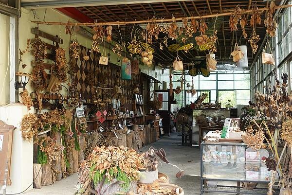 【2020花東周遊記。台東】鹿野龍田社區散策 & 台東2626市集