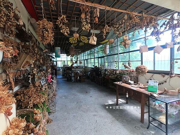 【2020花東周遊記。台東】鹿野龍田社區散策 & 台東2626市集