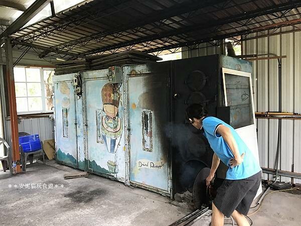 【2020花東周遊記。台東】鹿野龍田社區散策 & 台東2626市集