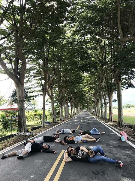 【2020花東周遊記。台東】鹿野龍田社區散策 & 台東2626市集