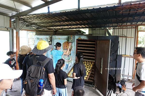 【2020花東周遊記。台東】鹿野龍田社區散策 & 台東2626市集