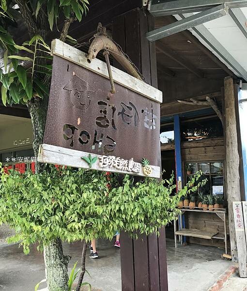 【2020花東周遊記。台東】鹿野龍田社區散策 & 台東2626市集