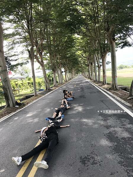 【2020花東周遊記。台東】鹿野龍田社區散策 & 台東2626市集