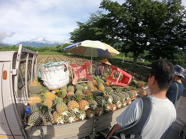 【2020花東周遊記。台東】鹿野龍田社區散策 & 台東2626市集
