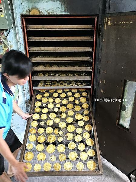 【2020花東周遊記。台東】鹿野龍田社區散策 & 台東2626市集