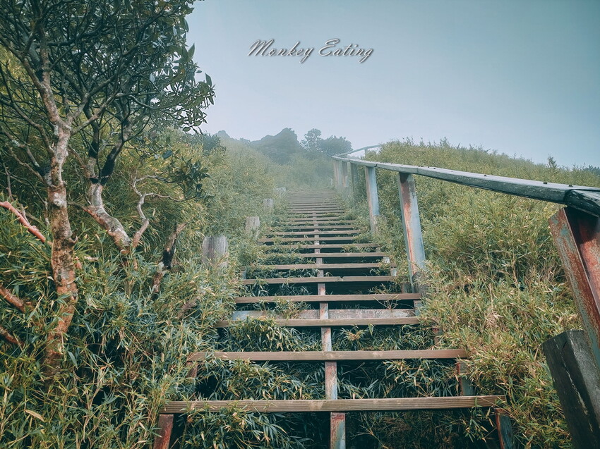 【合歡尖山】合歡群峰新手步道,15分鐘就能登頂,下山就能喝咖啡 - 貪吃猴的幻想