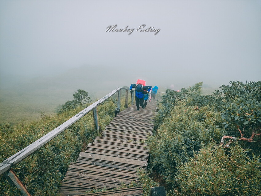 【合歡尖山】合歡群峰新手步道,15分鐘就能登頂,下山就能喝咖啡 - 貪吃猴的幻想
