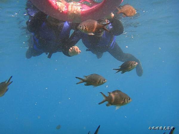 海底世界0.jpg