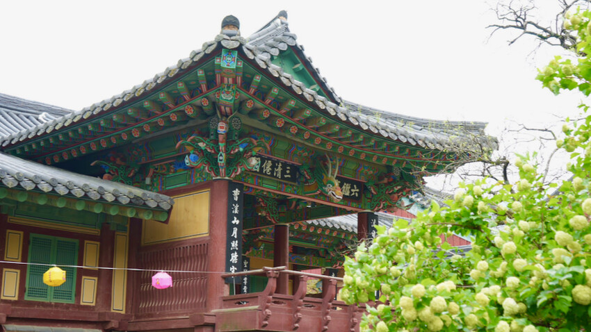 [韓國景點] 松廣寺｜韓國全羅南道順天市景點「三寶寺剎之一」｜交通資訊＆門票資訊