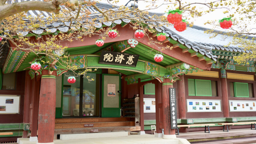 [韓國景點] 松廣寺｜韓國全羅南道順天市景點「三寶寺剎之一」｜交通資訊＆門票資訊