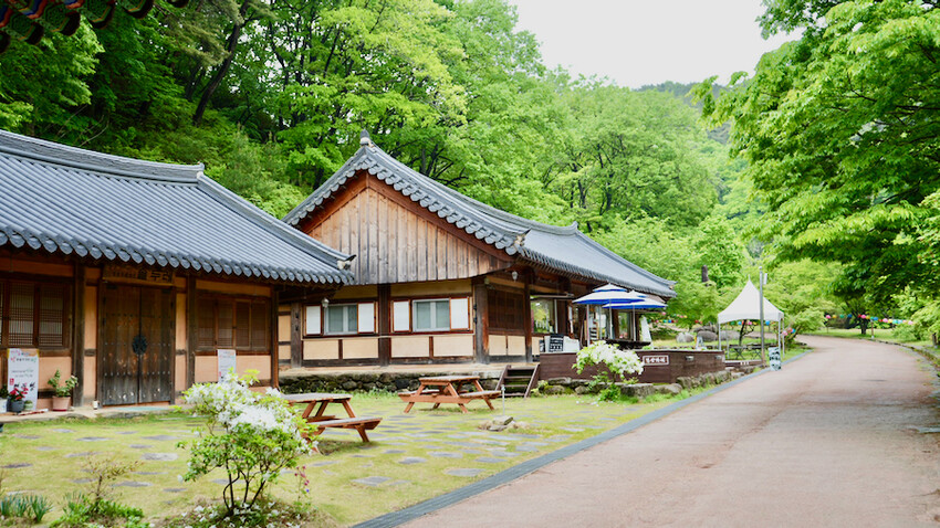 [韓國景點] 松廣寺｜韓國全羅南道順天市景點「三寶寺剎之一」｜交通資訊＆門票資訊