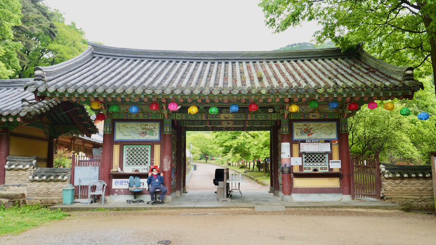 [韓國景點] 松廣寺｜韓國全羅南道順天市景點「三寶寺剎之一」｜交通資訊＆門票資訊