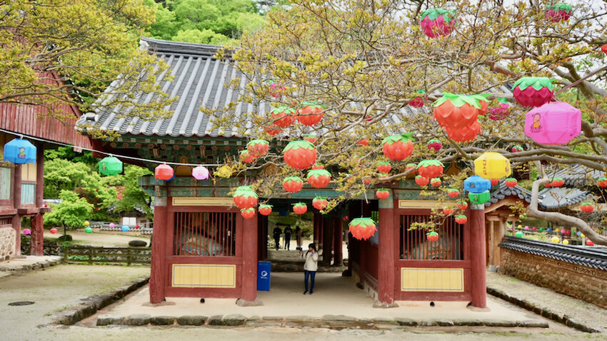 [韓國景點] 松廣寺｜韓國全羅南道順天市景點「三寶寺剎之一」｜交通資訊＆門票資訊