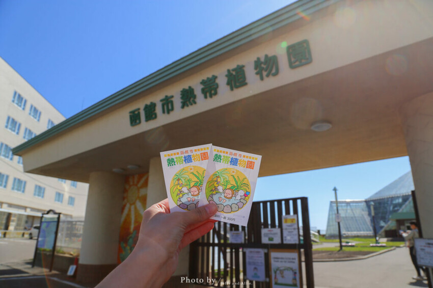 【函館景點】函館熱帶植物園,日本獼猴泡溫泉,吃碗老婆婆煮的道地拉麵!