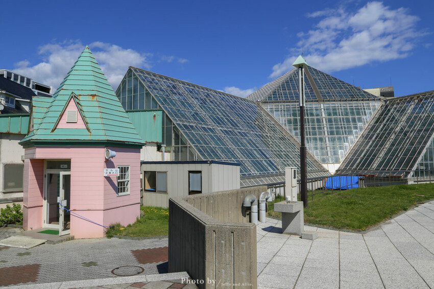 【函館景點】函館熱帶植物園,日本獼猴泡溫泉,吃碗老婆婆煮的道地拉麵!