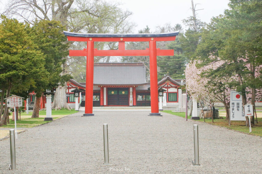 【北海道旭川景點】北海道護國神社，日式庭院池塘，多種原生花草與樹木。