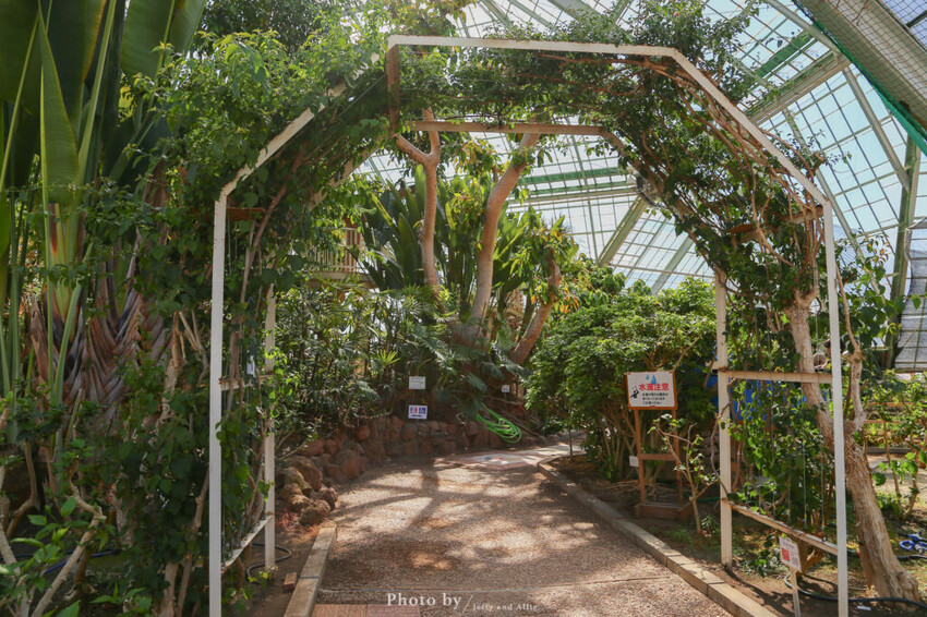 【函館景點】函館熱帶植物園,日本獼猴泡溫泉,吃碗老婆婆煮的道地拉麵!