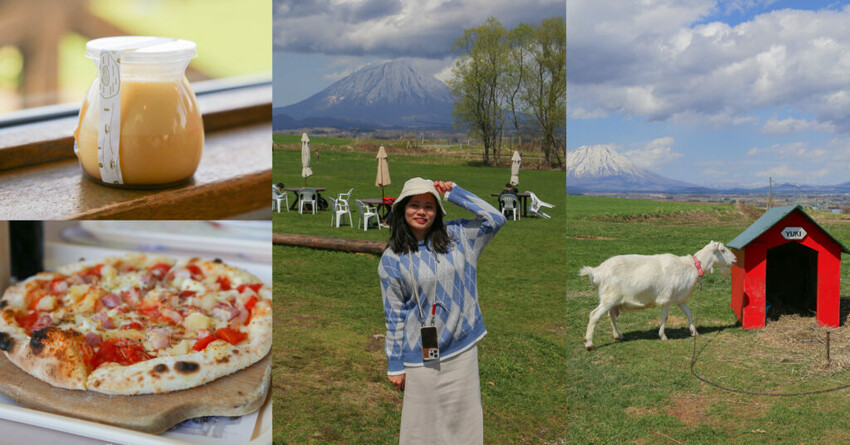 【洞爺湖景點】Lake Hill Farm餐廳,動物牧場、親子草原、遠眺羊蹄山,明信片般美景!