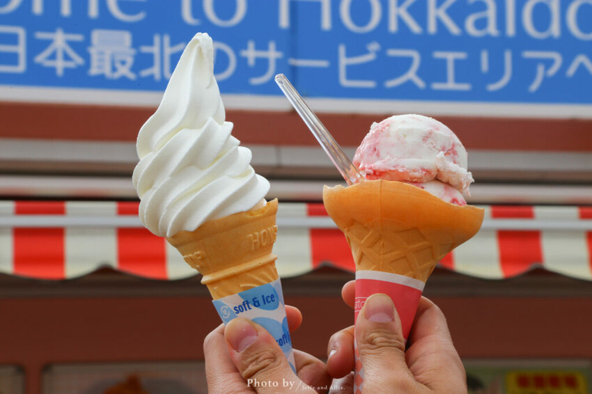 【北海道露營車】自駕遊日本！露營車注意事項、內裝、租車公司、行駛路線、休息站。