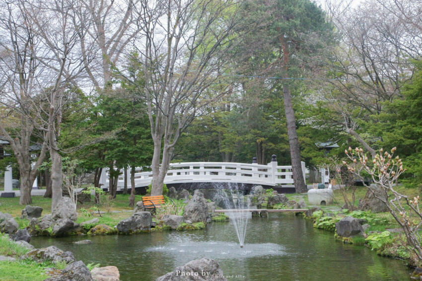【北海道旭川景點】北海道護國神社，日式庭院池塘，多種原生花草與樹木。