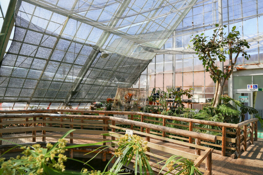 【函館景點】函館熱帶植物園,日本獼猴泡溫泉,吃碗老婆婆煮的道地拉麵!