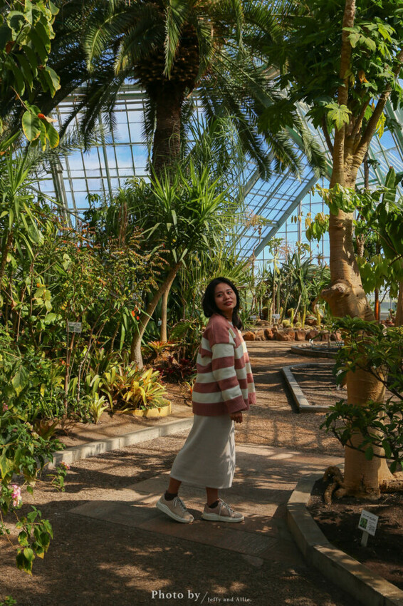 【函館景點】函館熱帶植物園,日本獼猴泡溫泉,吃碗老婆婆煮的道地拉麵!