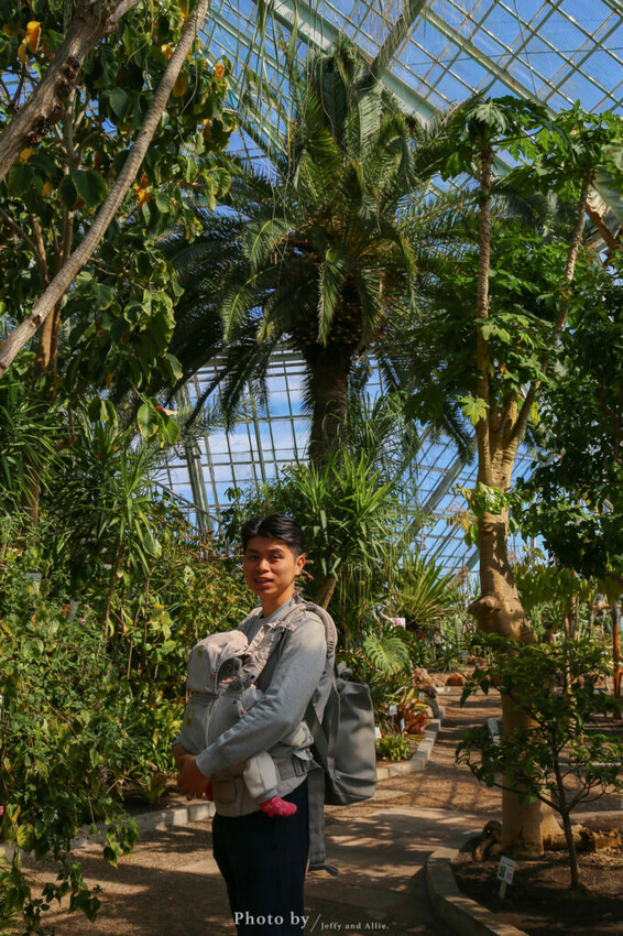 【函館景點】函館熱帶植物園,日本獼猴泡溫泉,吃碗老婆婆煮的道地拉麵!