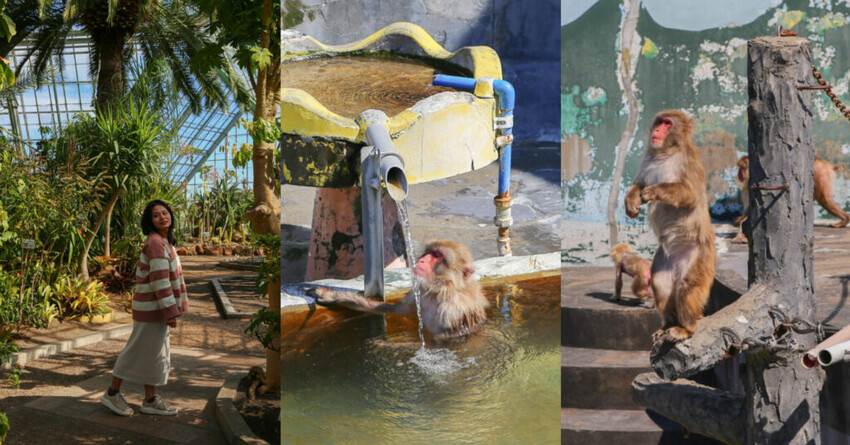 【北海道旭川景點】北海道護國神社，日式庭院池塘，多種原生花草與樹木。