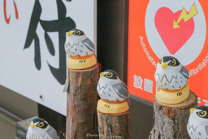 【北海道旭川景點】北海道護國神社，日式庭院池塘，多種原生花草與樹木。