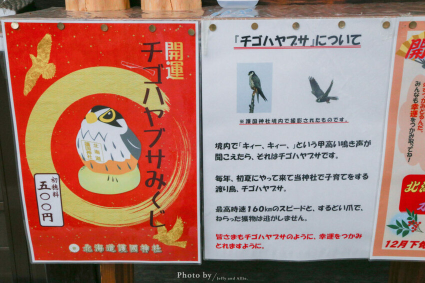 【北海道旭川景點】北海道護國神社，日式庭院池塘，多種原生花草與樹木。