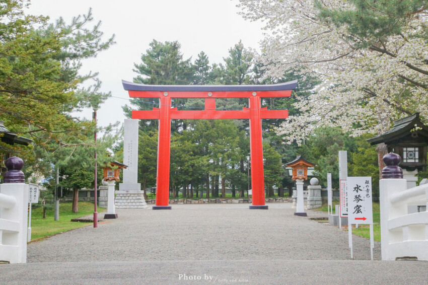 【北海道旭川景點】北海道護國神社，日式庭院池塘，多種原生花草與樹木。