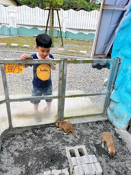 宜蘭 長埤湖精靈村-塩太郎的家 帶你化身為精靈置身秘境精靈村~與自然靈系動物們親密互動