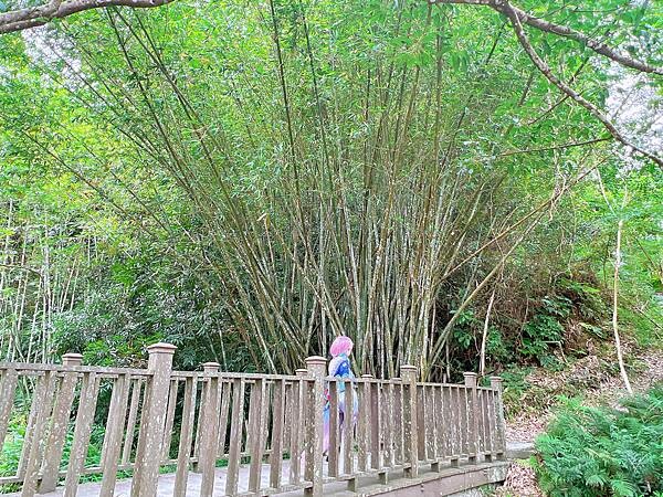 宜蘭 長埤湖精靈村-塩太郎的家 帶你化身為精靈置身秘境精靈村~與自然靈系動物們親密互動