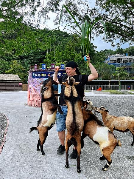 宜蘭 長埤湖精靈村-塩太郎的家 帶你化身為精靈置身秘境精靈村~與自然靈系動物們親密互動