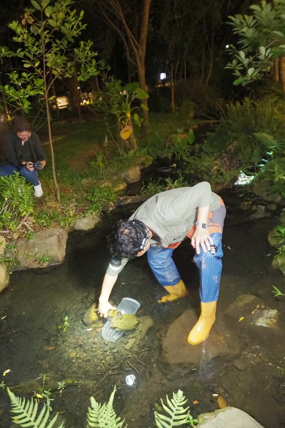 【南投埔里行程】2023南投埔里親子兩日遊行程推薦.水泥角生態民宿,部落體驗.Feeling18 LAB-烘焙研究所