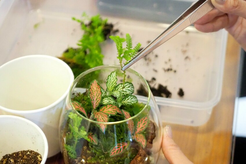 【南投埔里行程】2023南投埔里親子兩日遊行程推薦.水泥角生態民宿,部落體驗.Feeling18 LAB-烘焙研究所